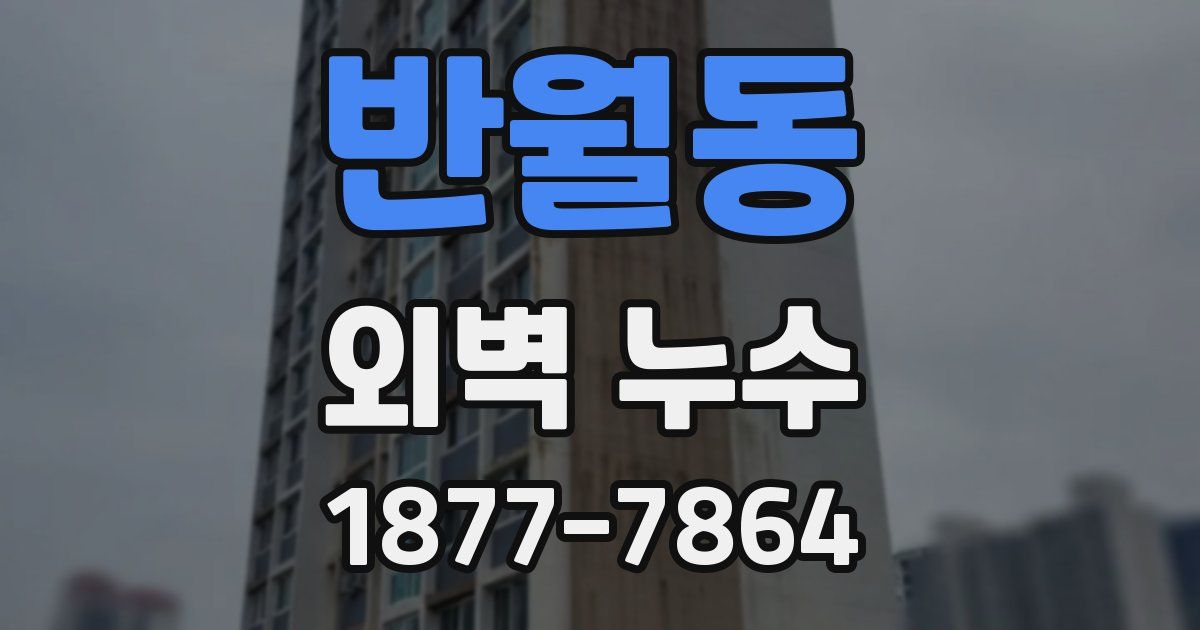반월동 외벽 누수