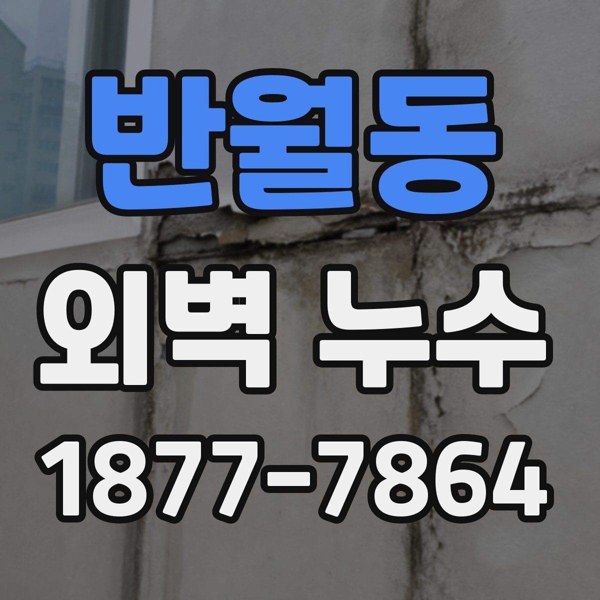 반월동 외벽 누수