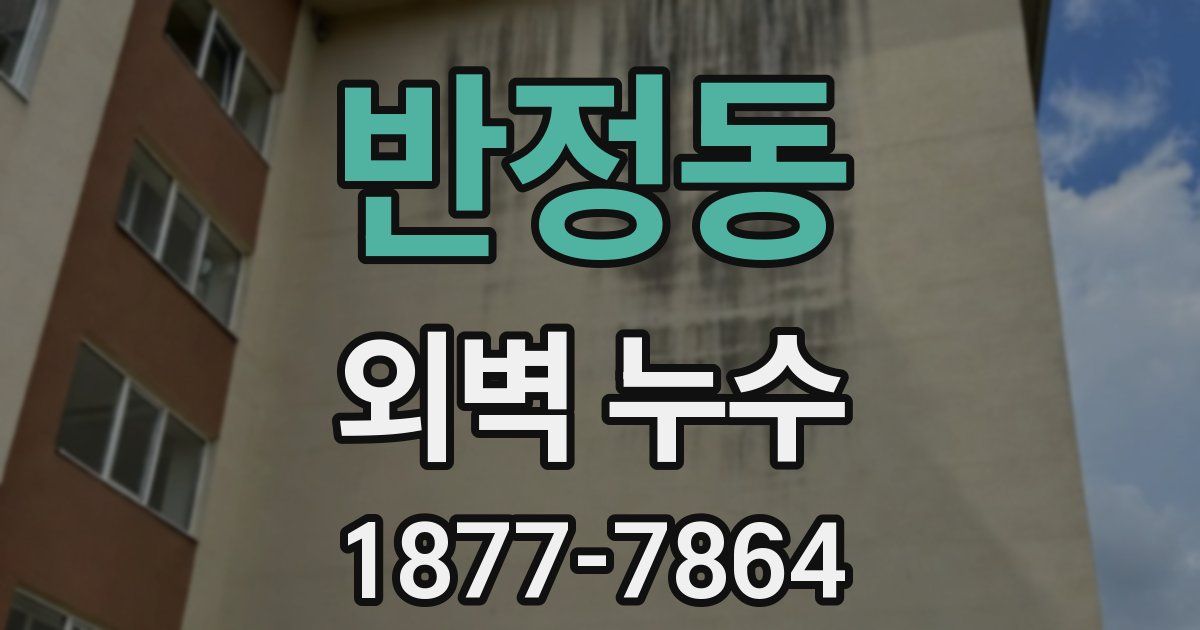 반정동 외벽 누수