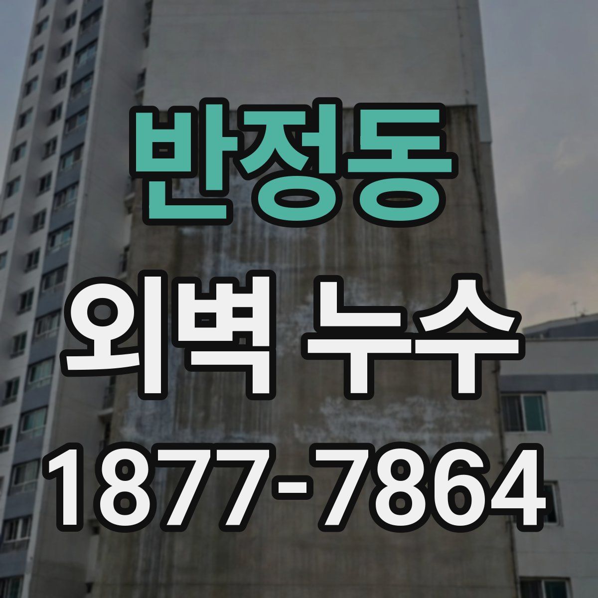 반정동 외벽 누수