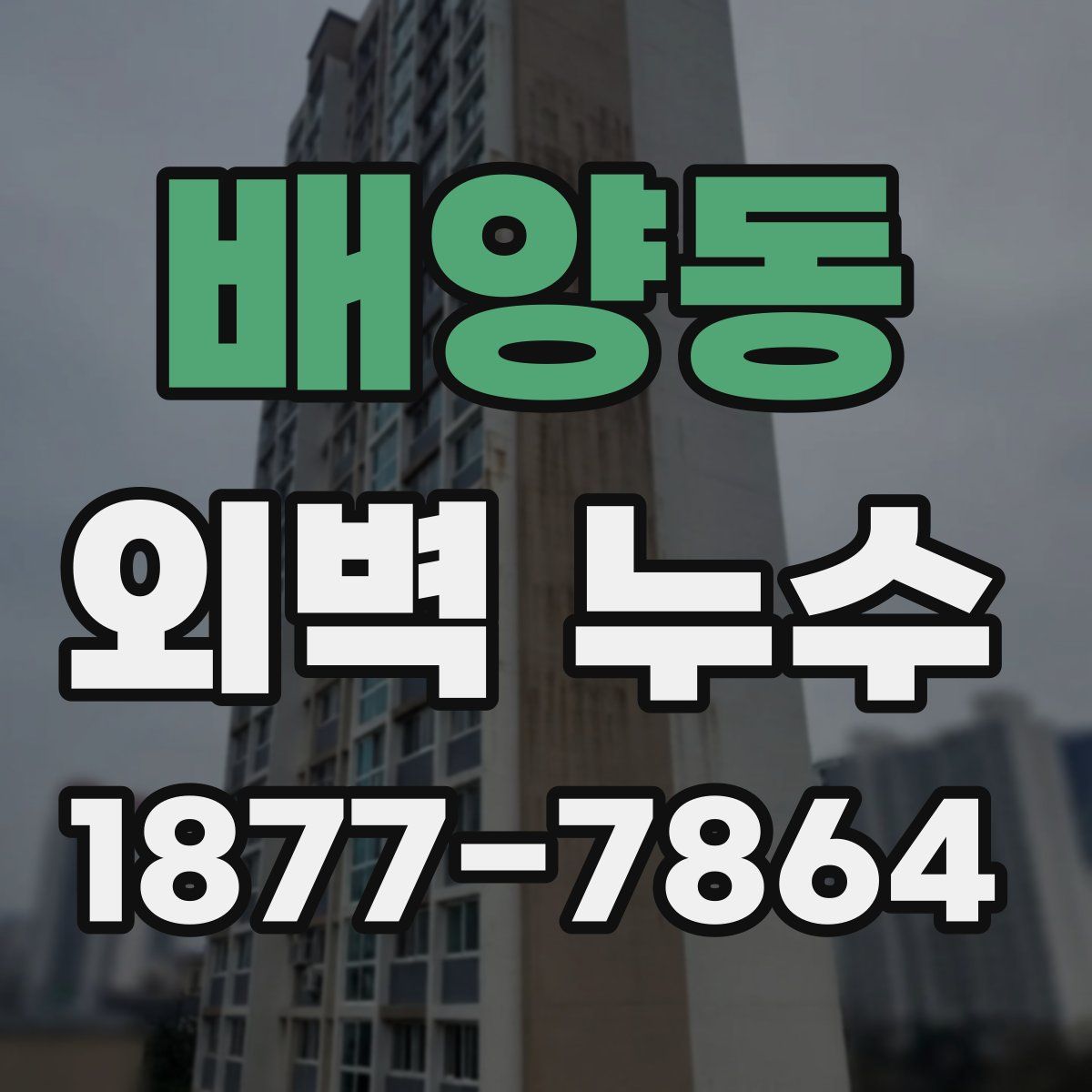 배양동 외벽 누수