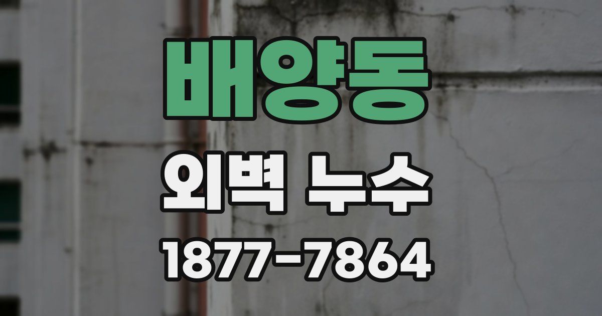 배양동 외벽 누수