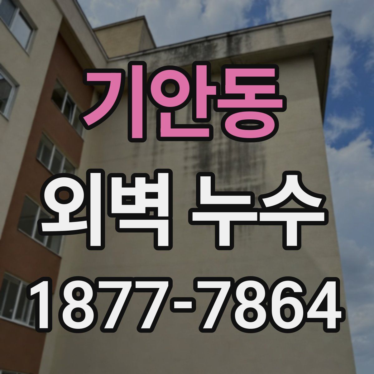 기안동 외벽 누수