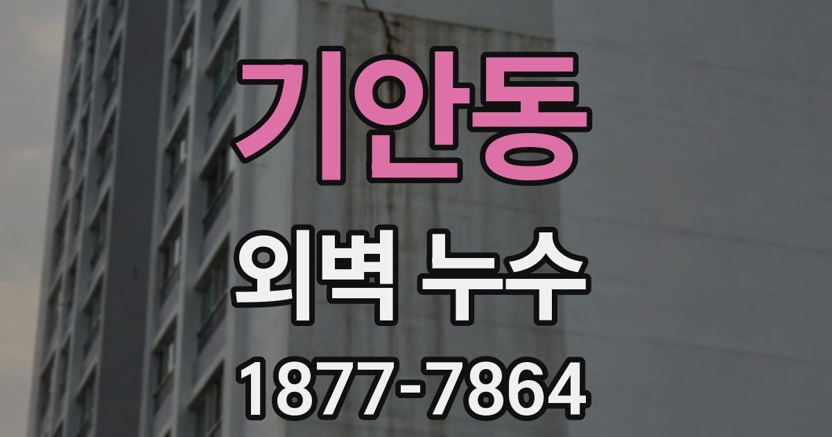 기안동 외벽 누수