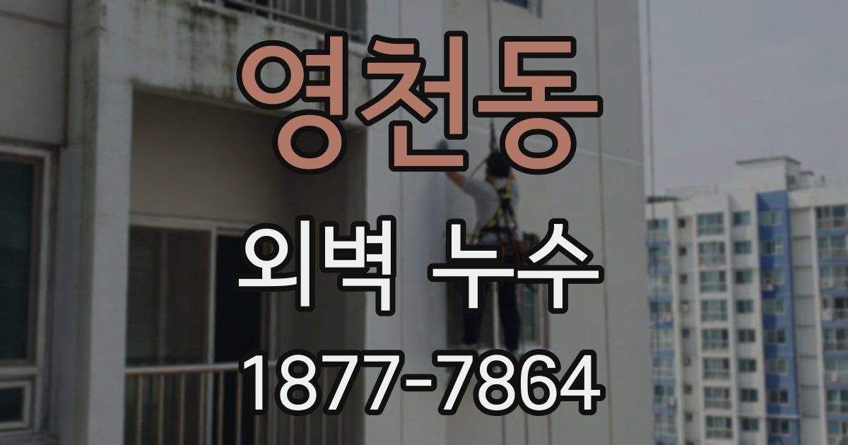 영천동 외벽 누수