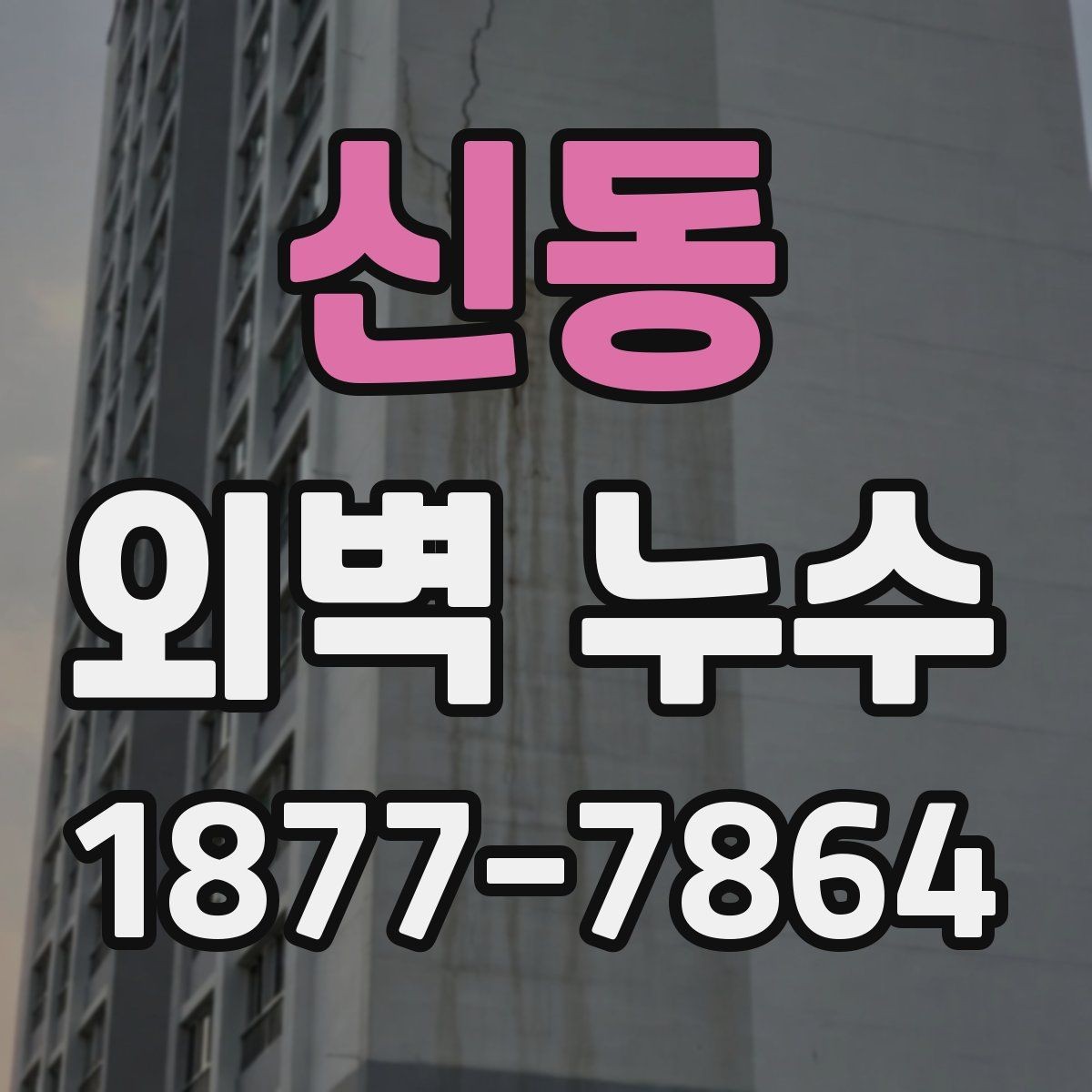 신동 외벽 누수 진행 단계별 대응 방법