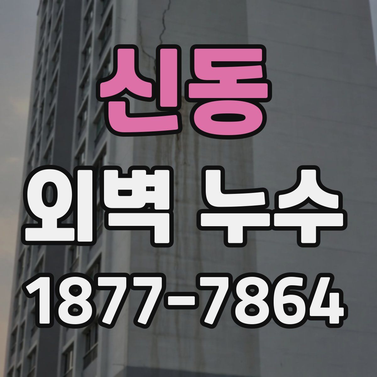 신동 외벽 누수