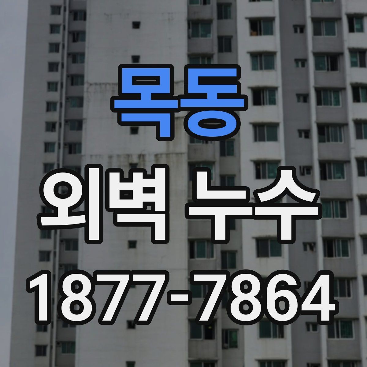 목동 외벽 누수 발생 원인과 점검 우선순위