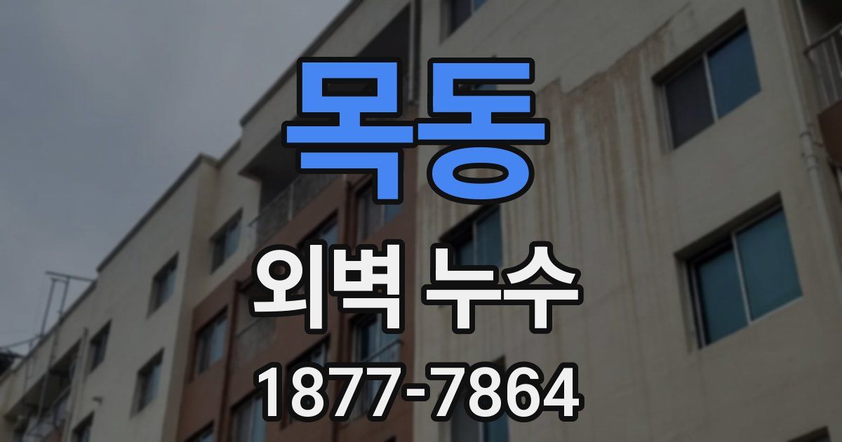 목동 외벽 누수