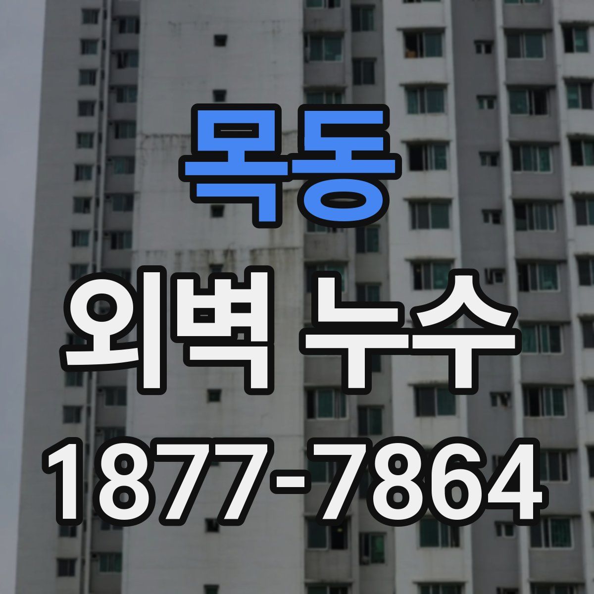 목동 외벽 누수