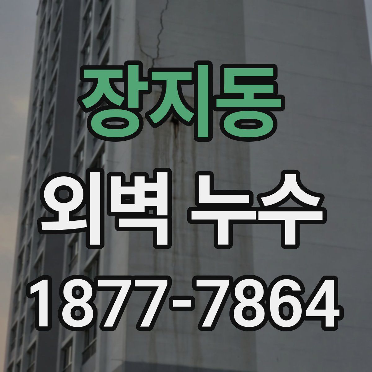 장지동 외벽 누수