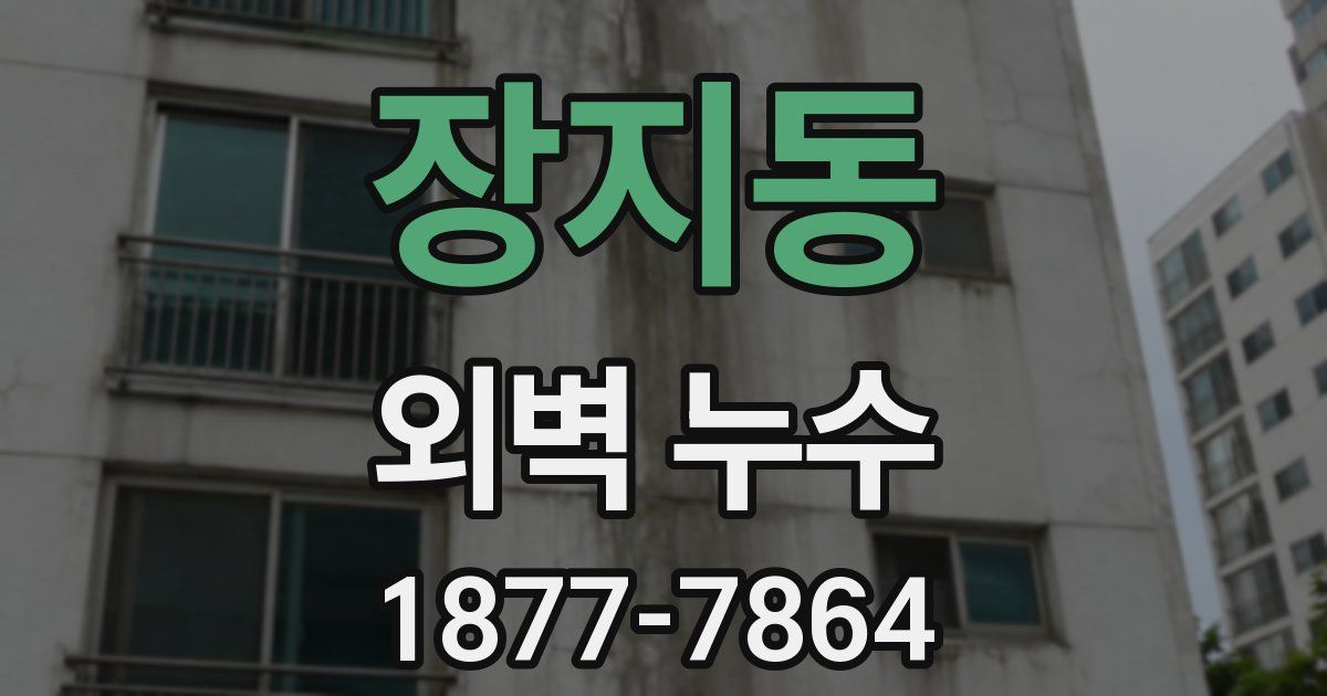 장지동 외벽 누수