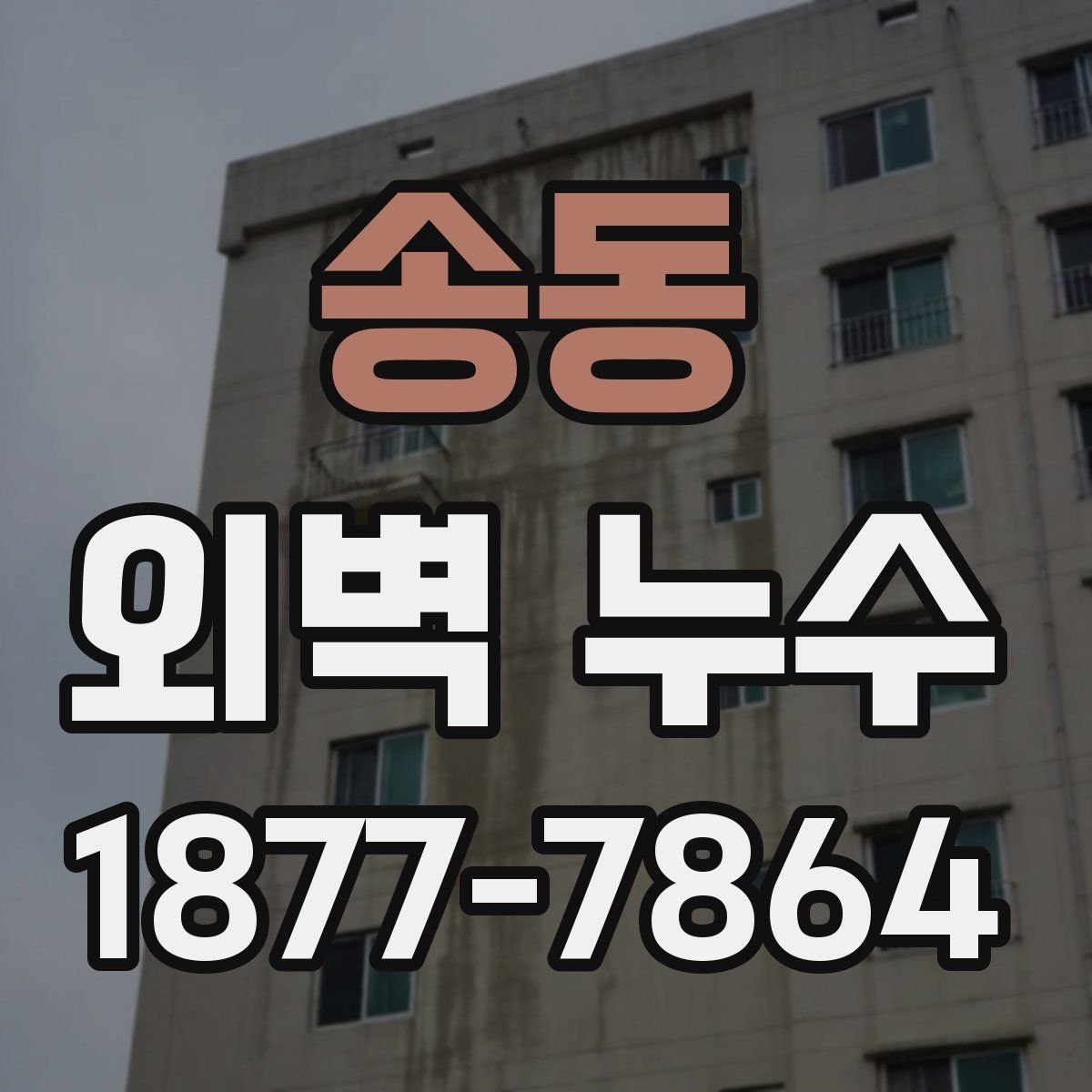 송동 외벽 누수