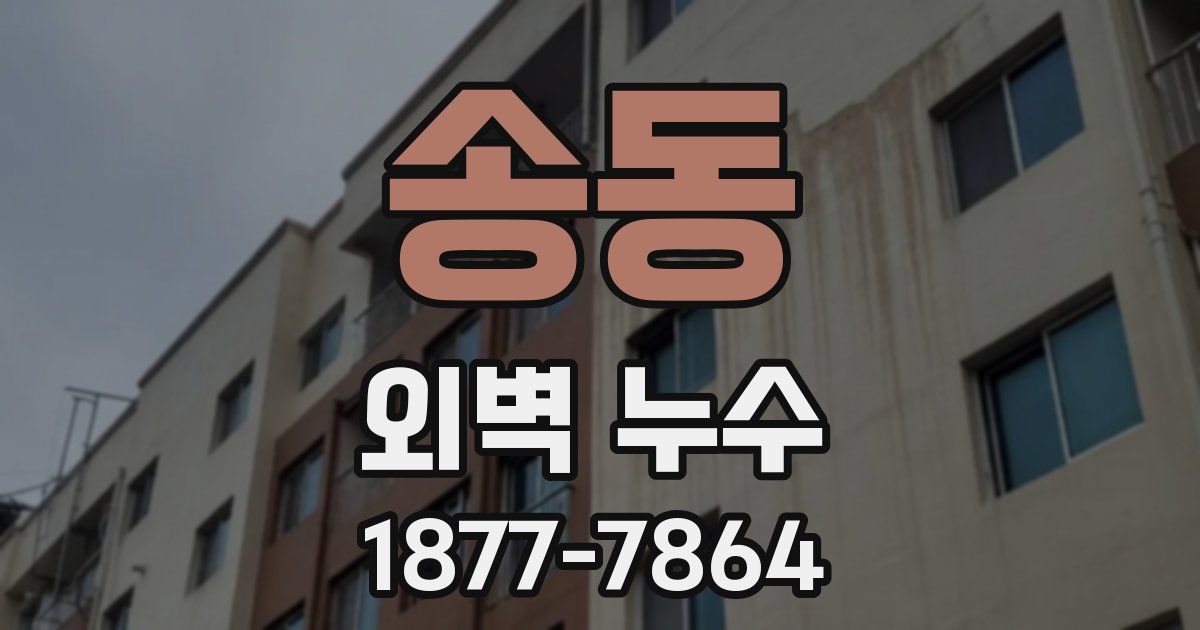 송동 외벽 누수