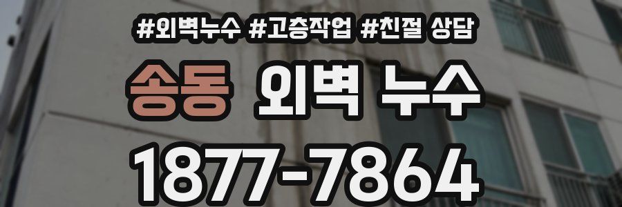 송동 외벽 누수
