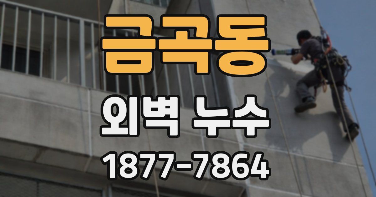 금곡동 외벽 누수