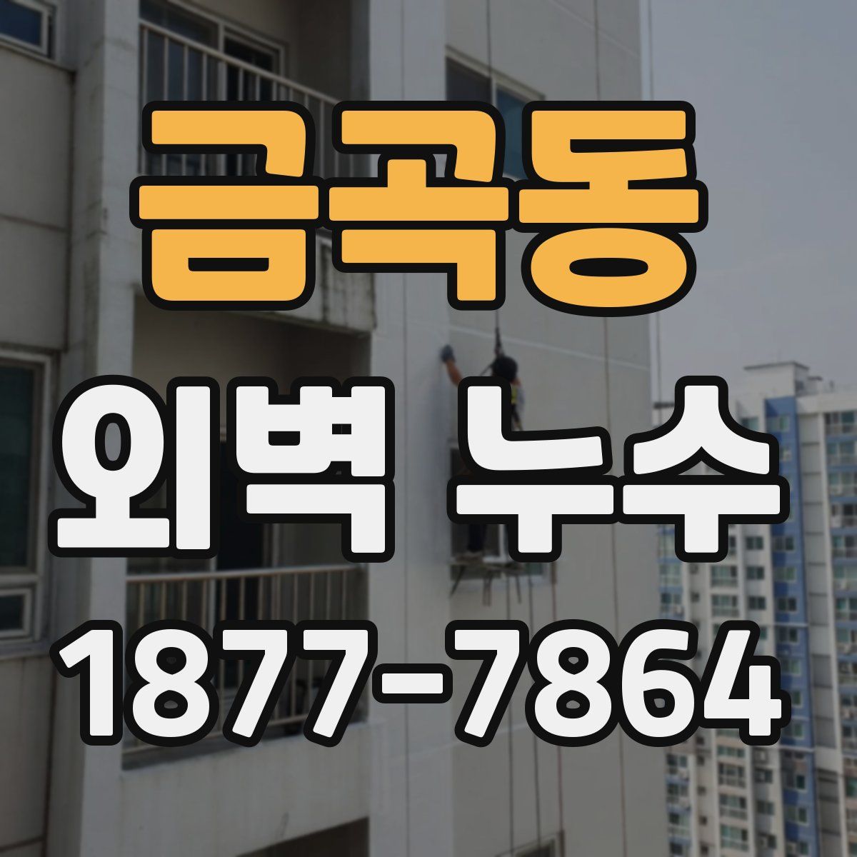 금곡동 외벽 누수