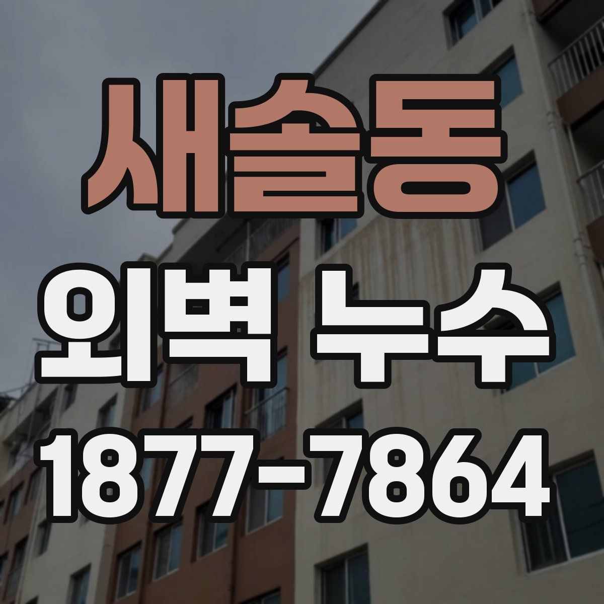 새솔동 외벽 누수
