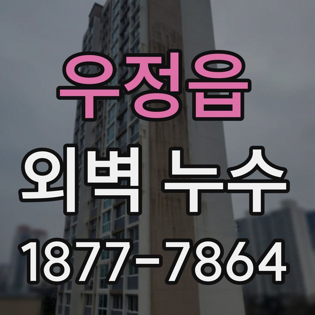 우정읍 외벽 누수 재발을 막는 관리 요령