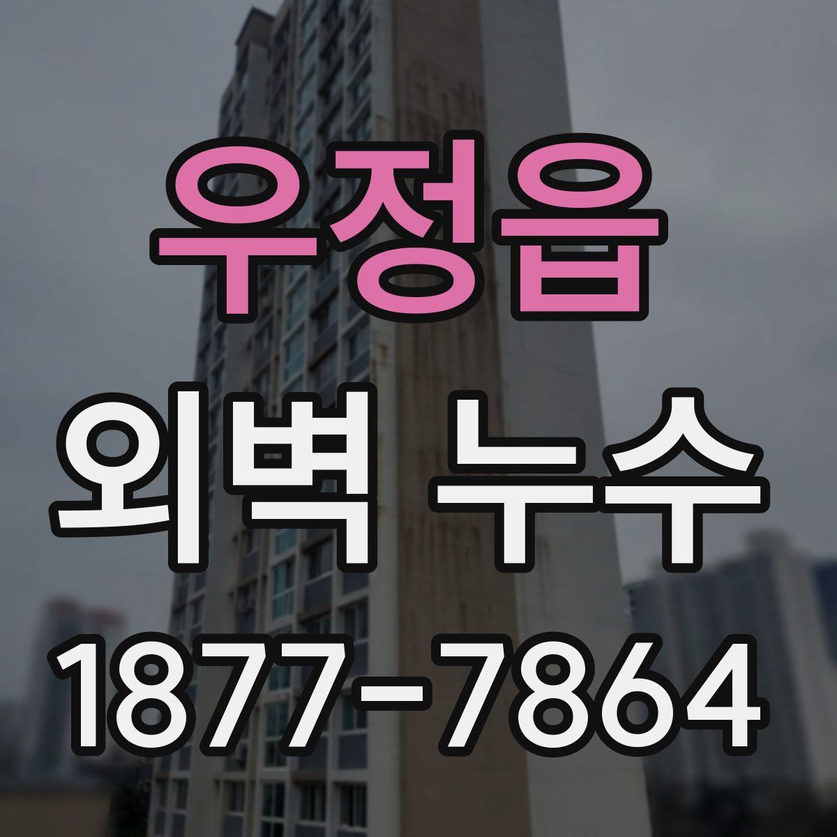 우정읍 외벽 누수