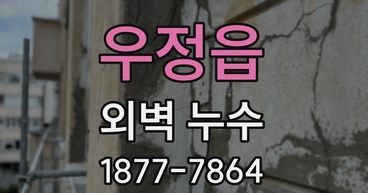 우정읍 외벽 누수