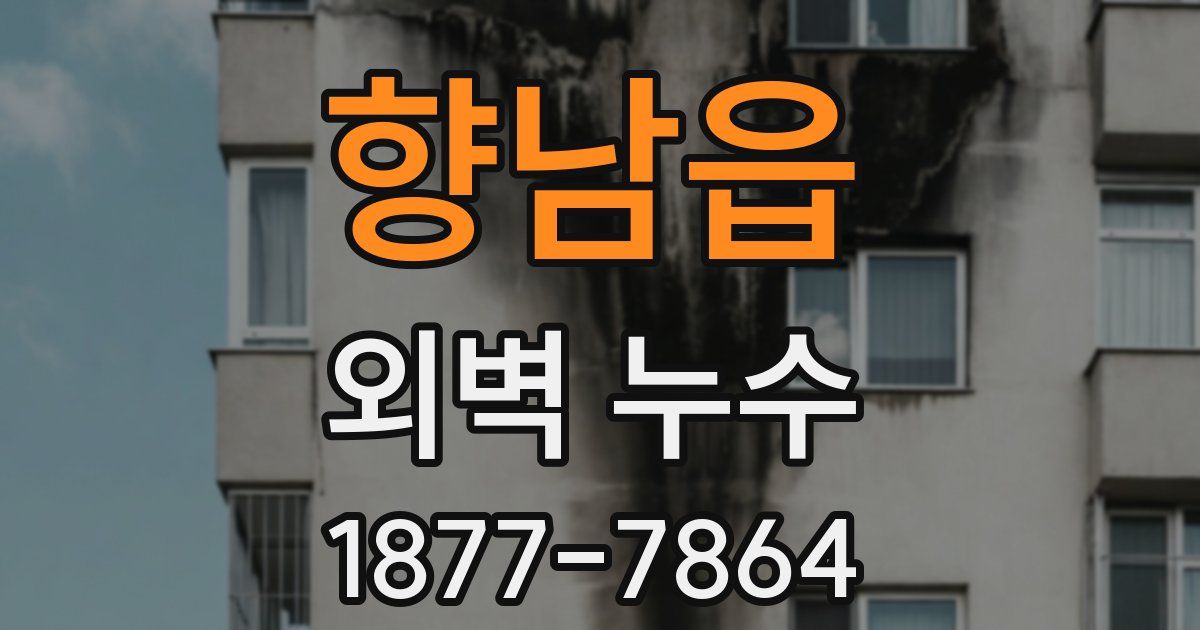 향남읍 외벽 누수
