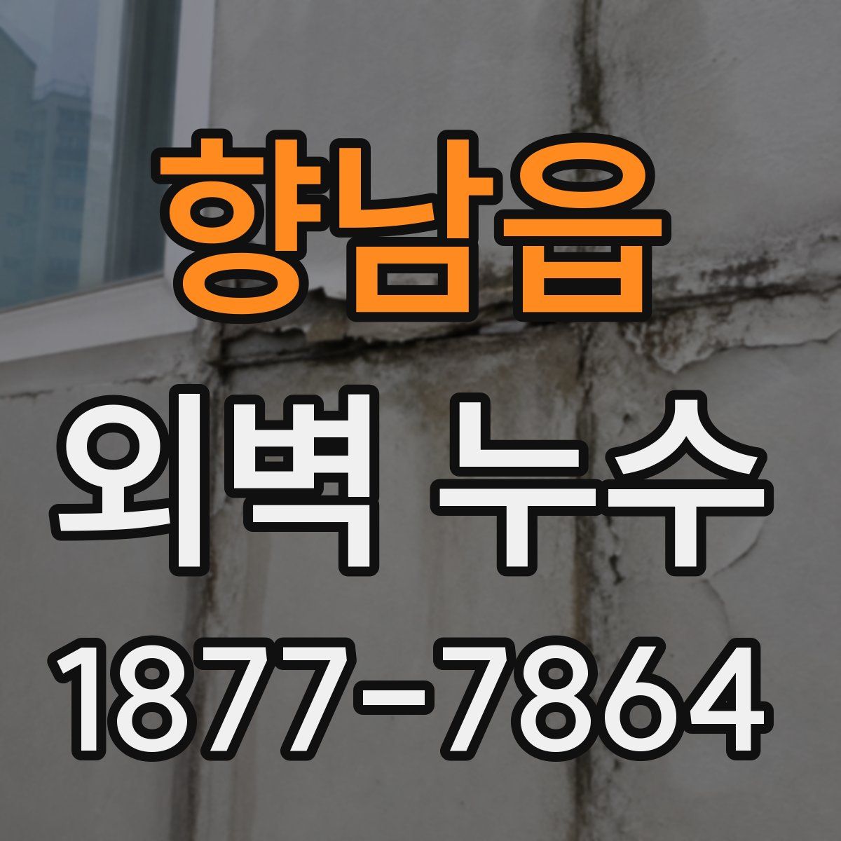 향남읍 외벽 누수