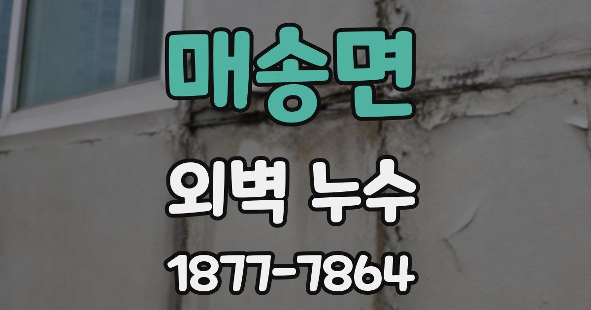 매송면 외벽 누수