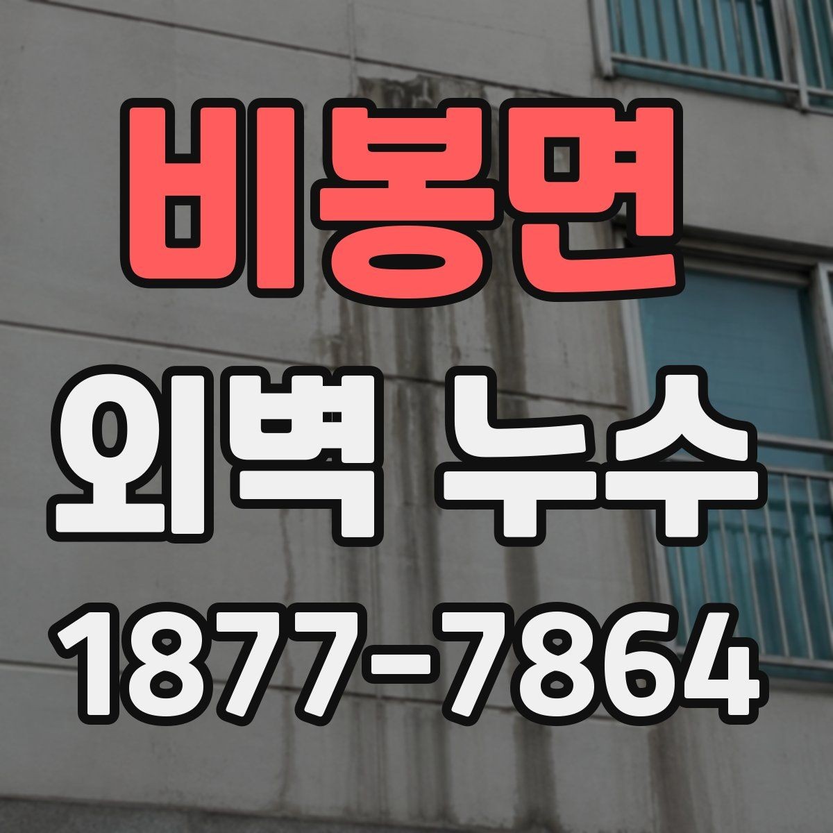 비봉면 외벽 누수 진단을 맡기기 전 비교할 요소