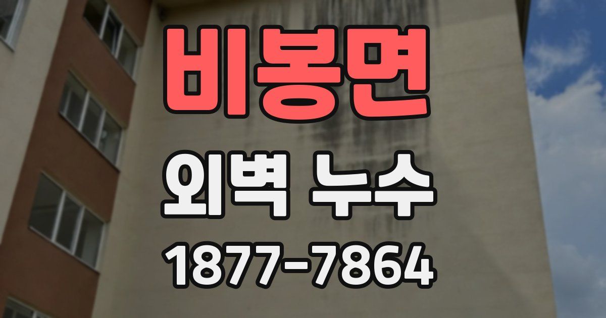 비봉면 외벽 누수