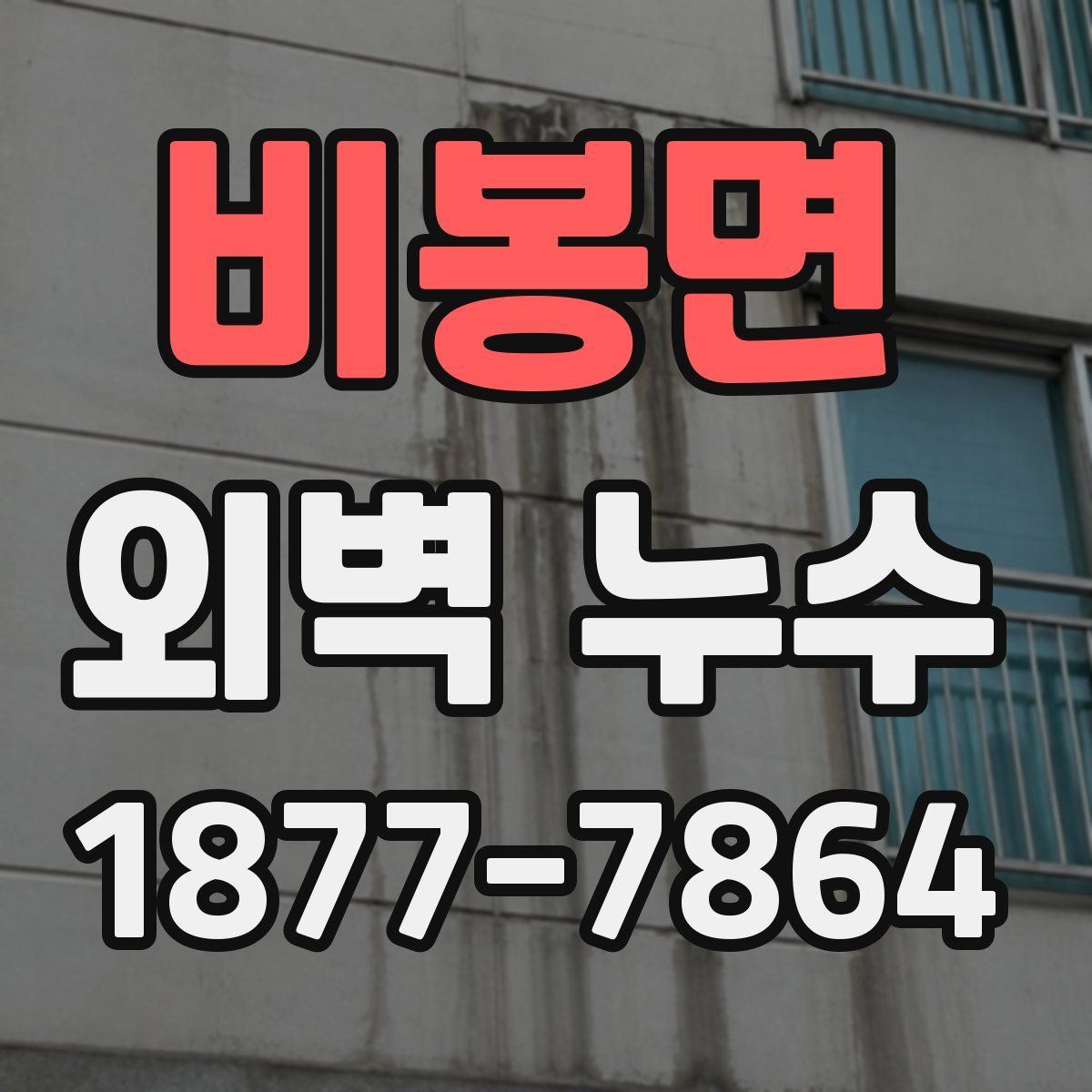 비봉면 외벽 누수