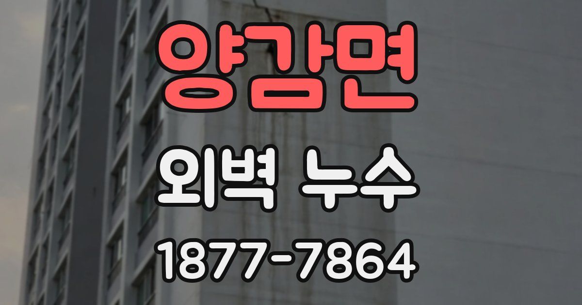 양감면 외벽 누수