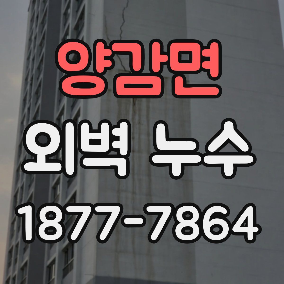 양감면 외벽 누수