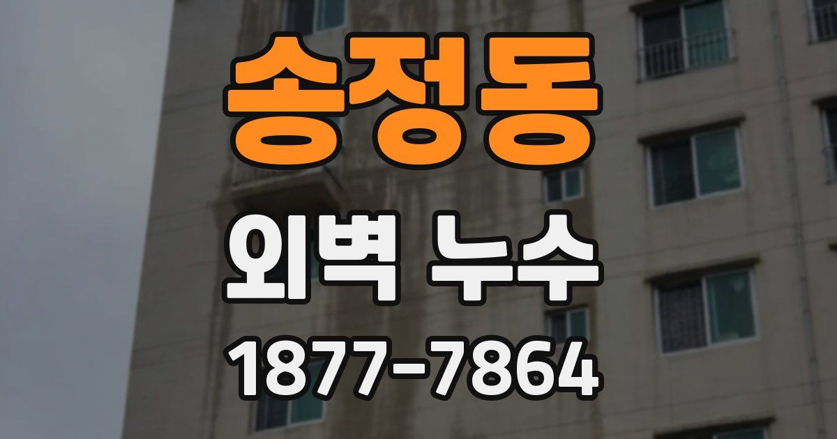 송정동 외벽 누수