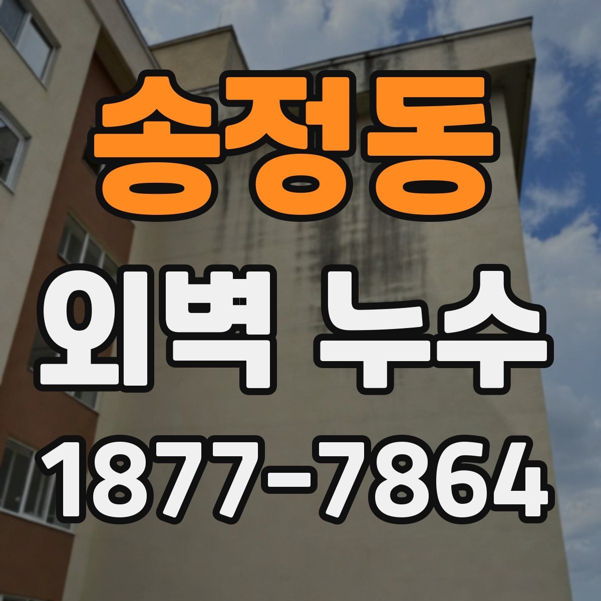 송정동 외벽 누수