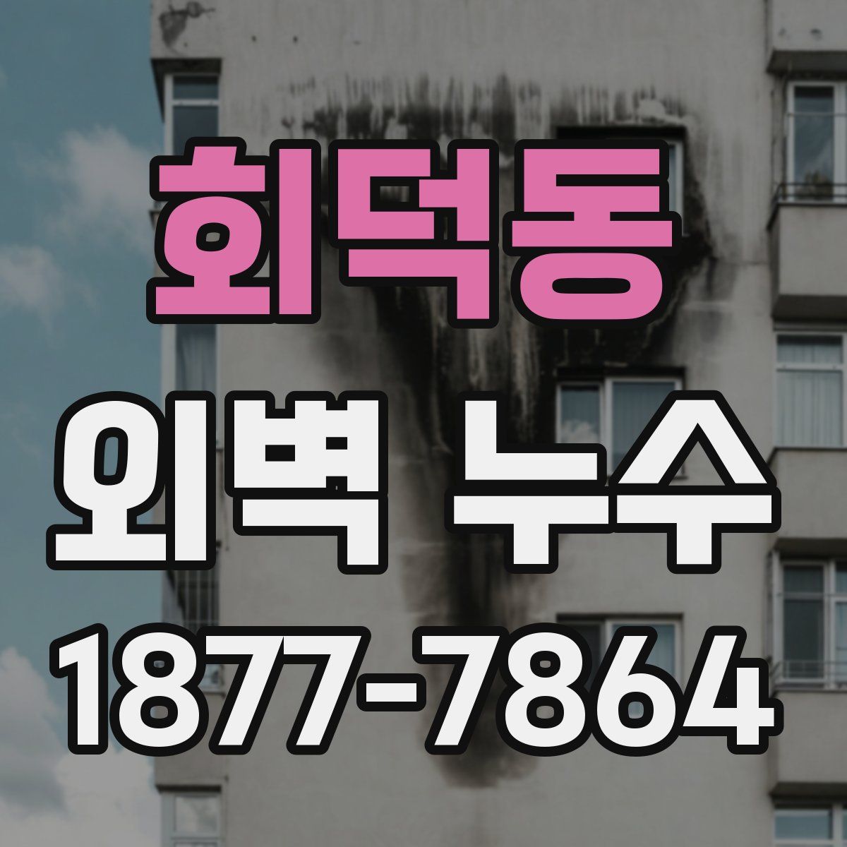 회덕동 외벽 누수