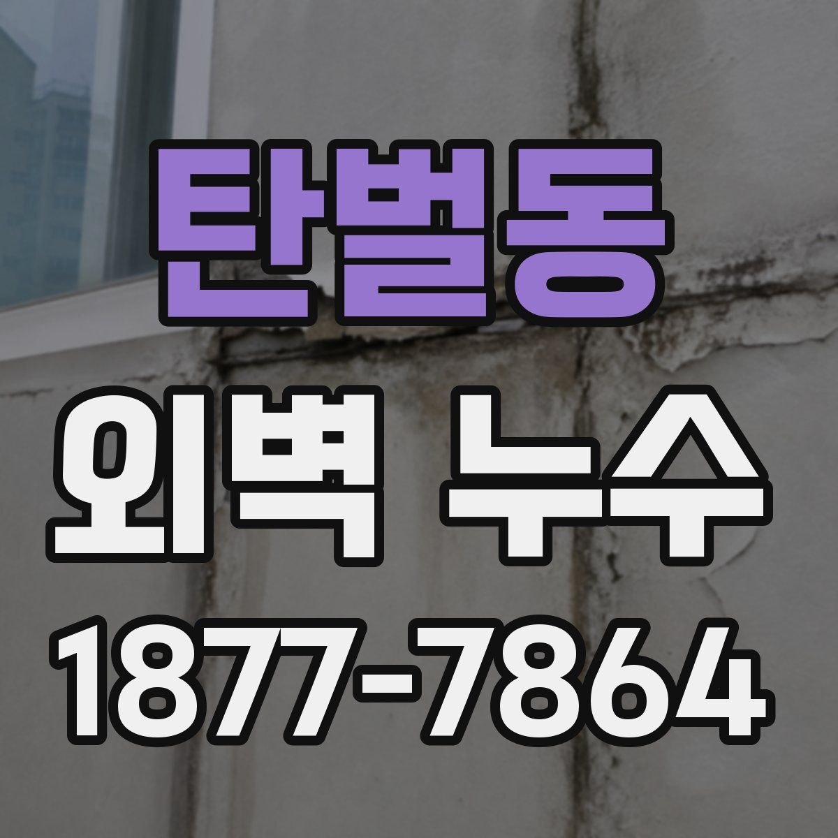 탄벌동 외벽 누수