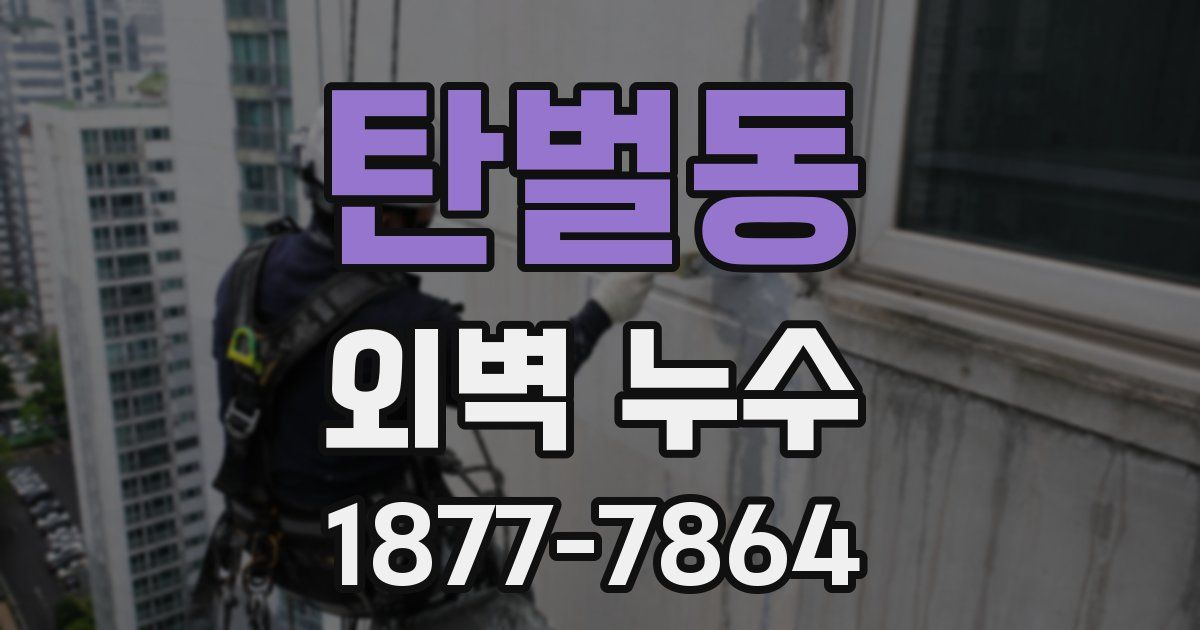 탄벌동 외벽 누수