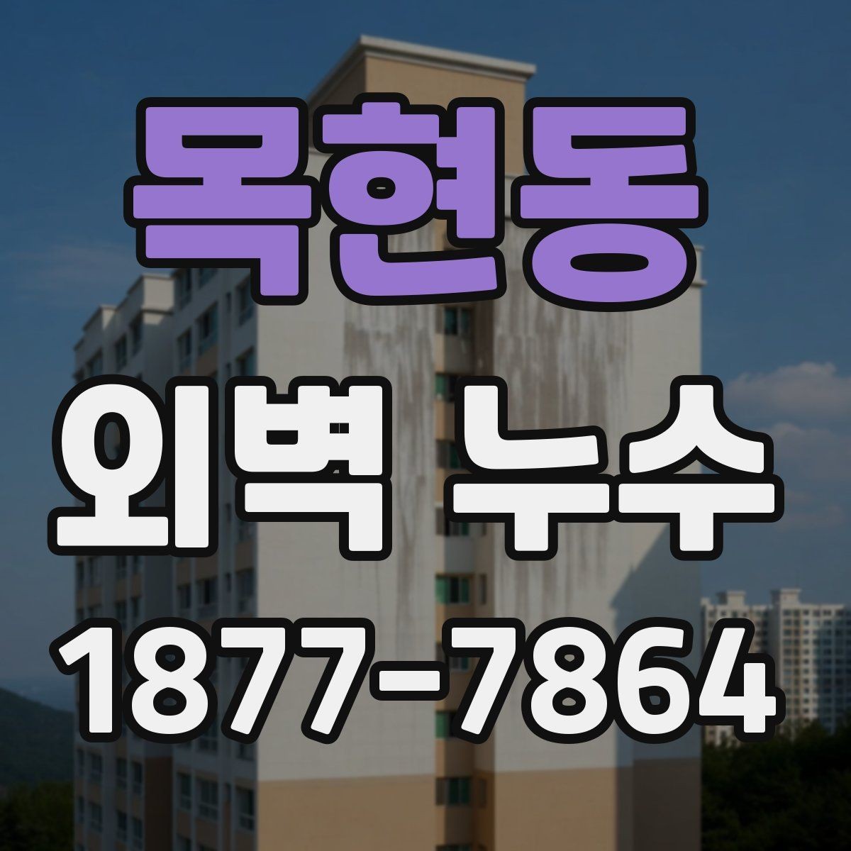 목현동 외벽 누수 점검은 어떤 순서로 진행할까
