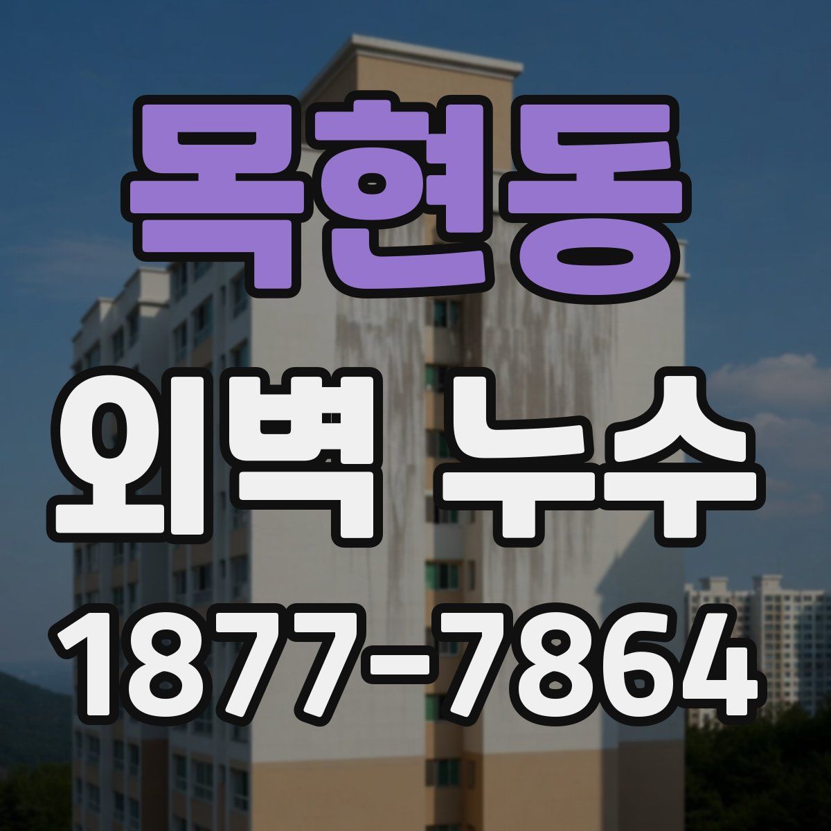 목현동 외벽 누수