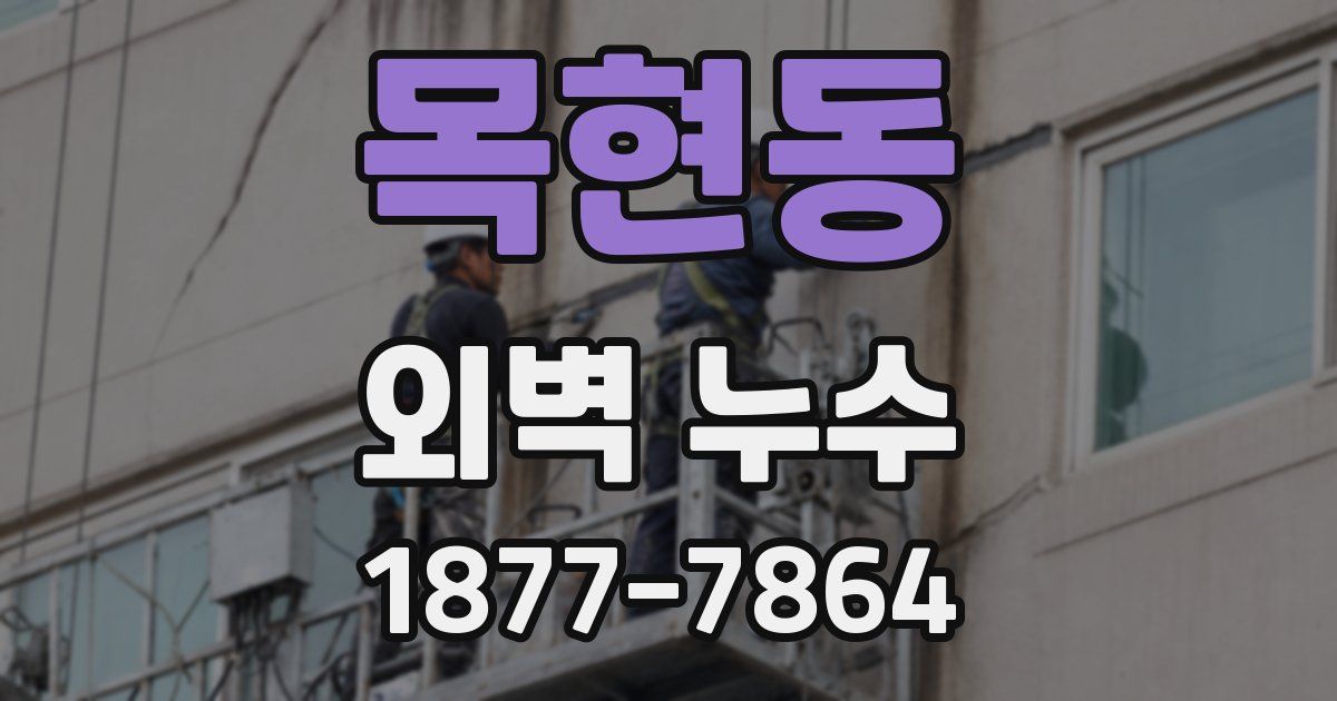 목현동 외벽 누수