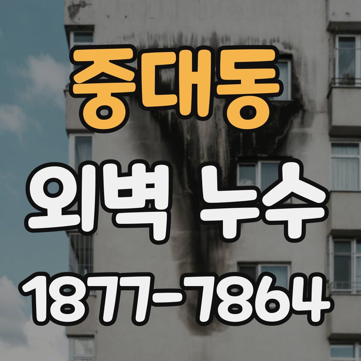 중대동 외벽 누수