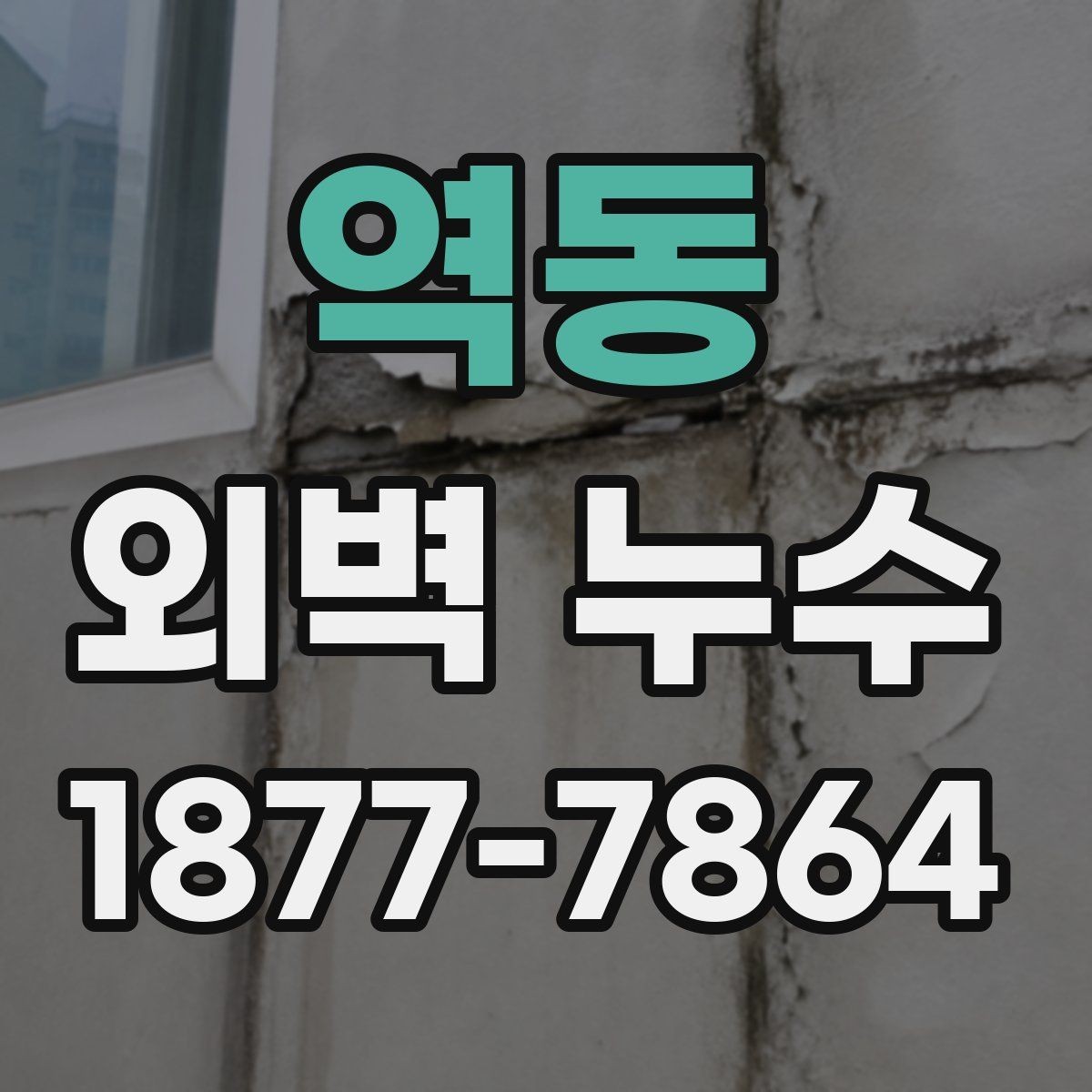 역동 외벽 누수 의심 구간을 찾는 실무 팁
