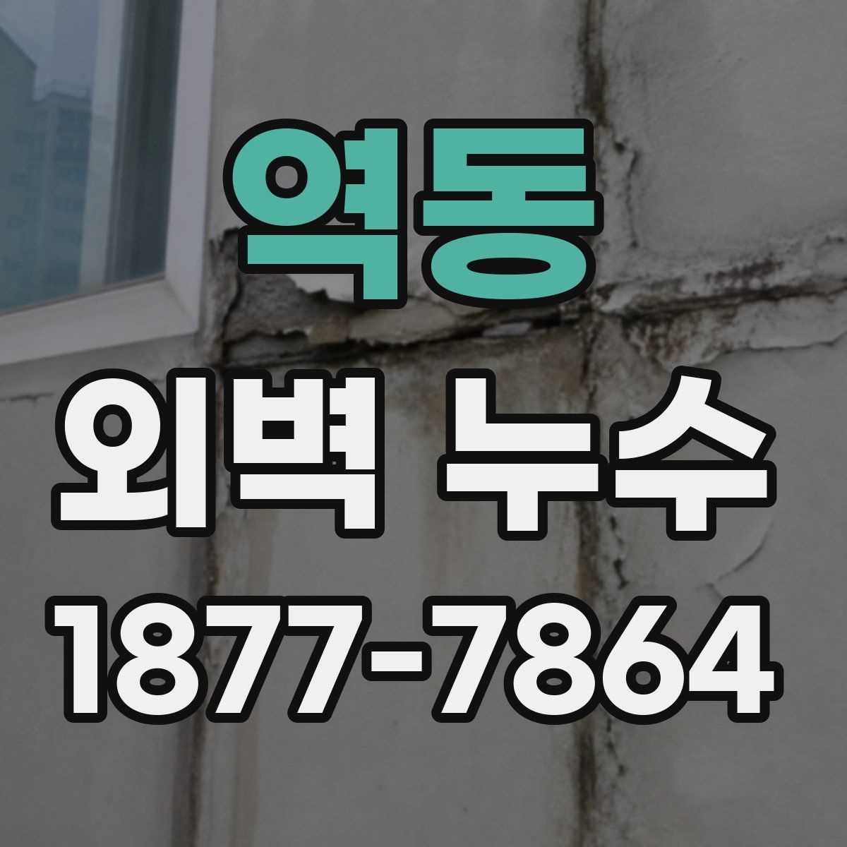 역동 외벽 누수