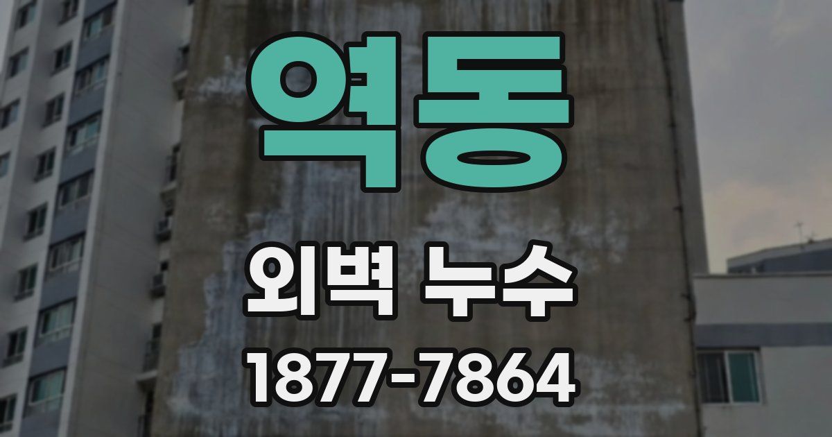 역동 외벽 누수