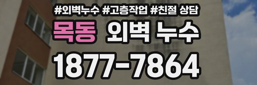 목동 외벽 누수