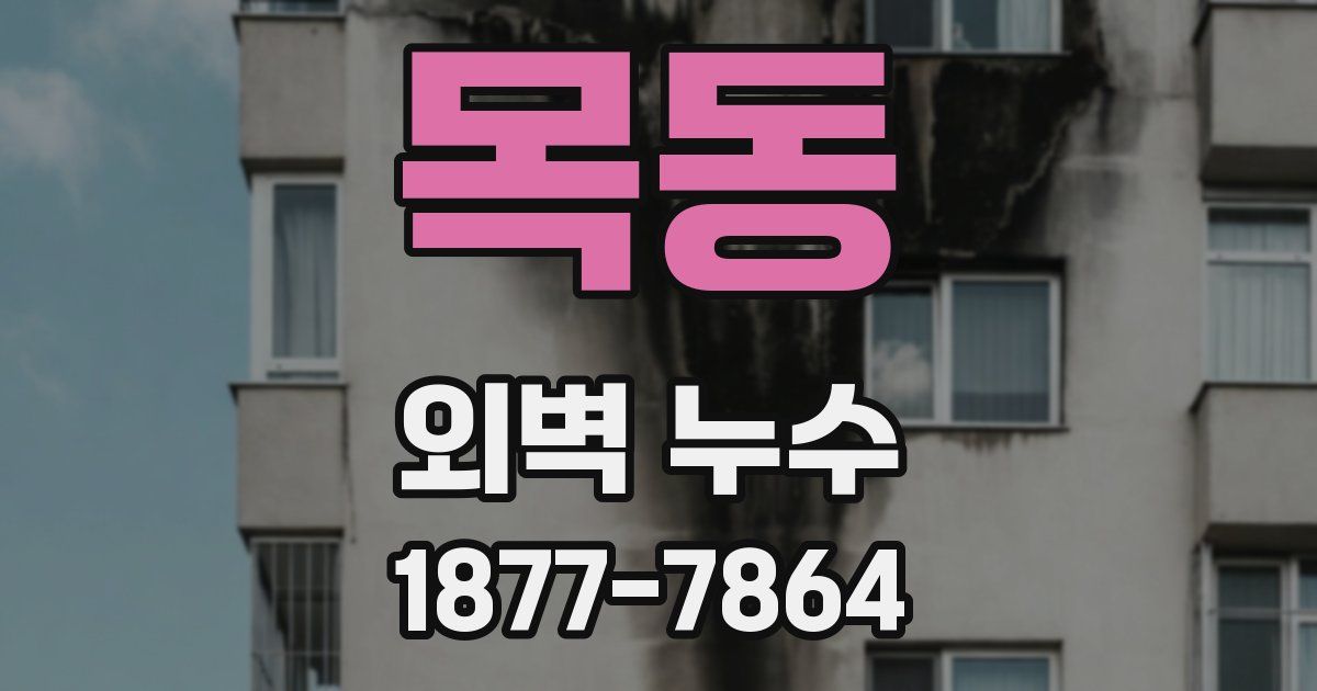 목동 외벽 누수