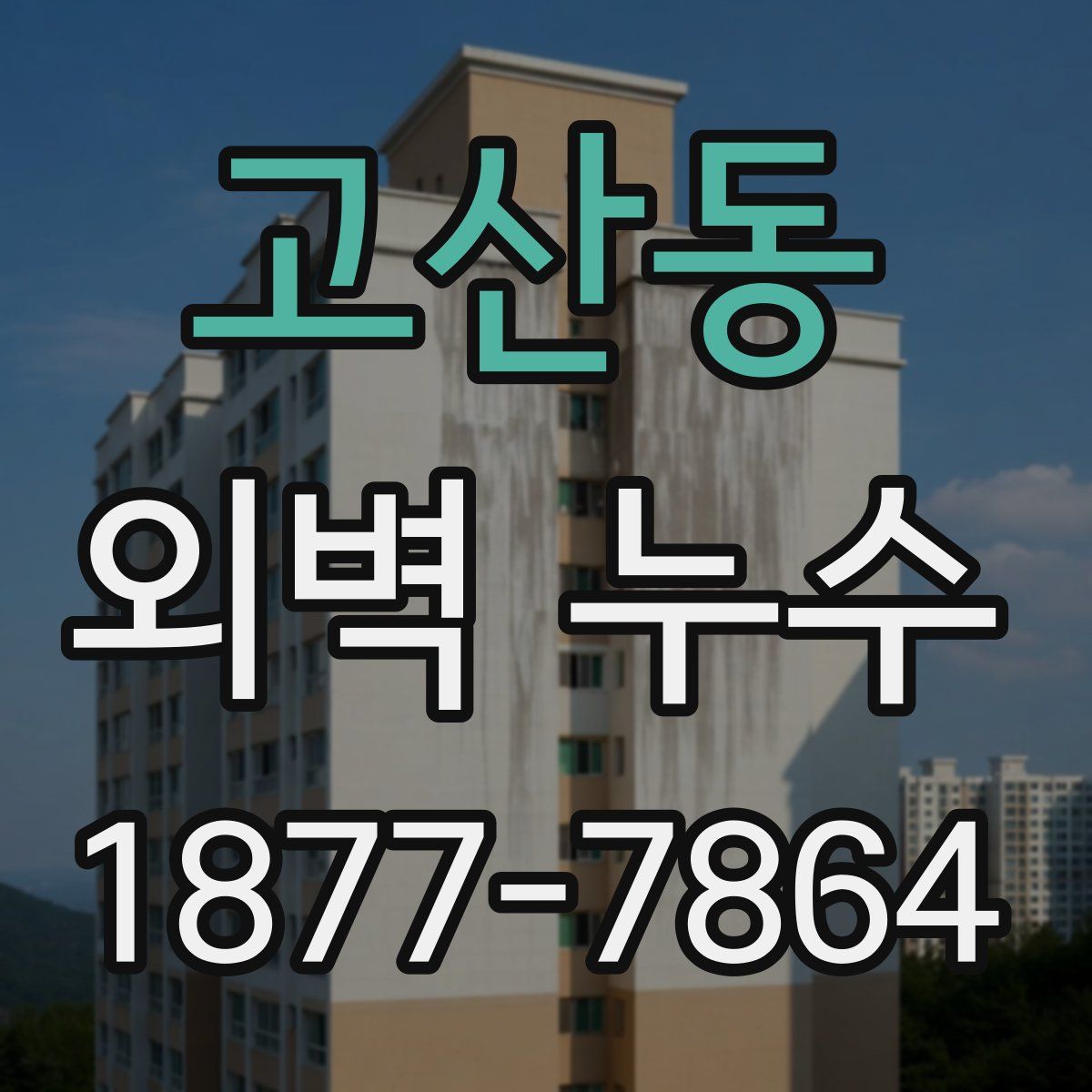 고산동 외벽 누수