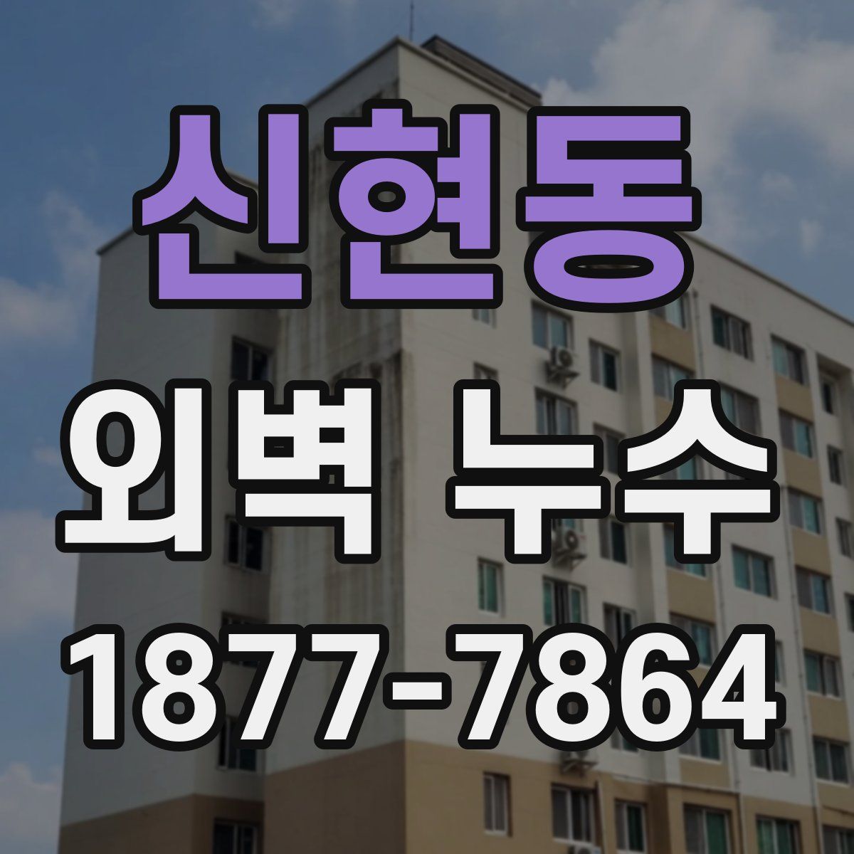신현동 외벽 누수
