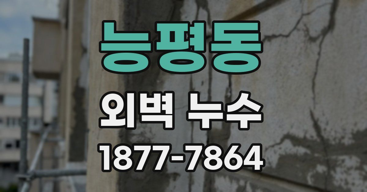 능평동 외벽 누수